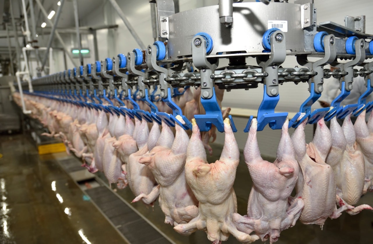 Dagestan to substitute poultry supplies until burnt-out poultry complex is repaired