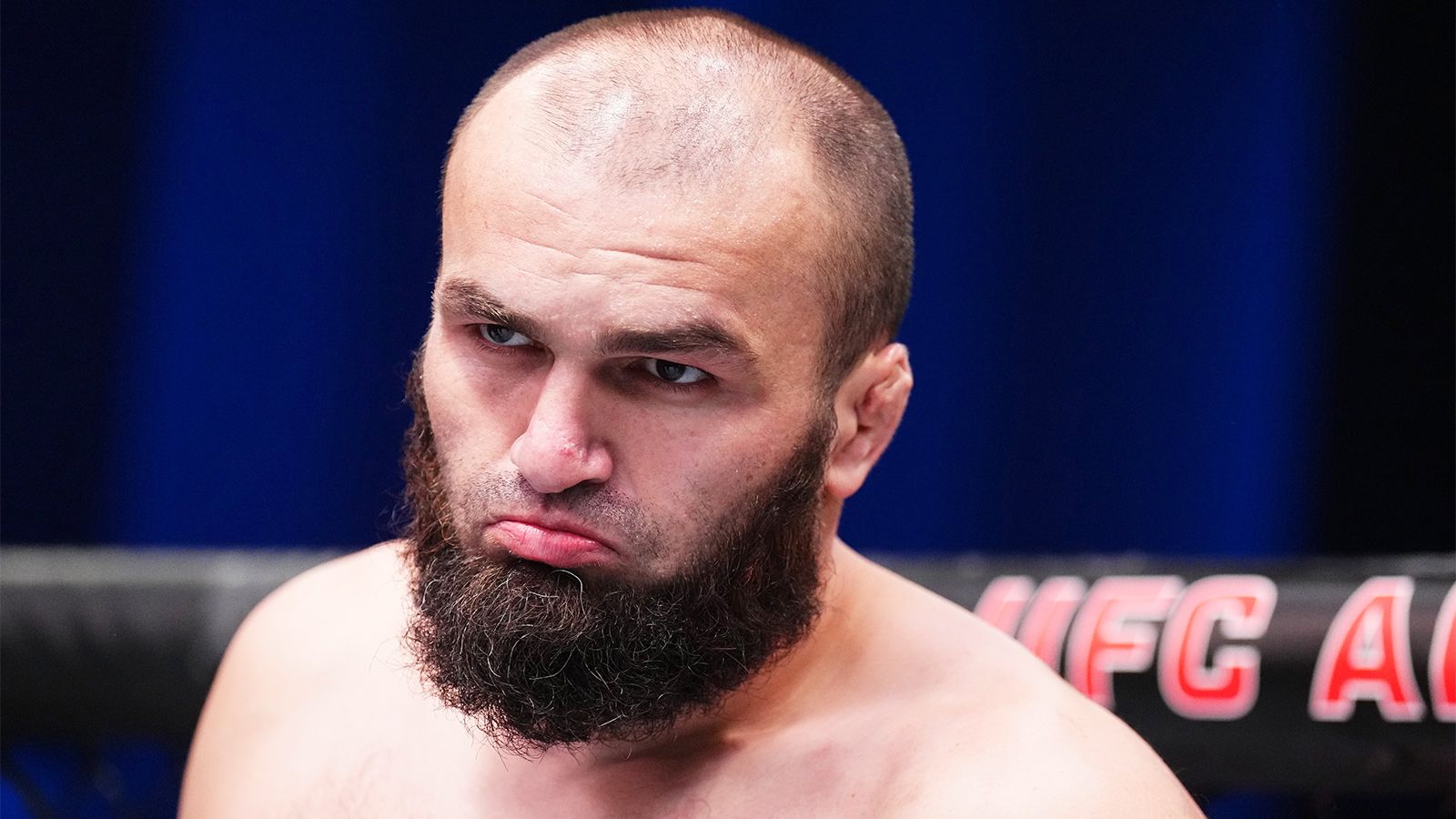 Dagestani fighters improve positions in updated UFC rankings