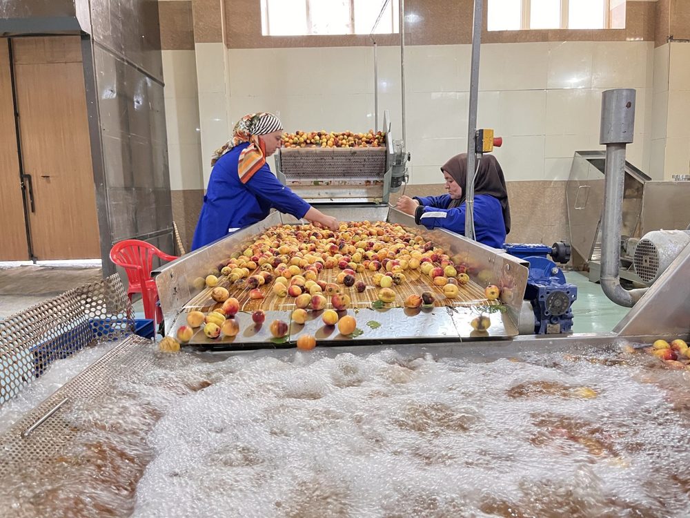 Kikuninsky Cannery launches two new production lines