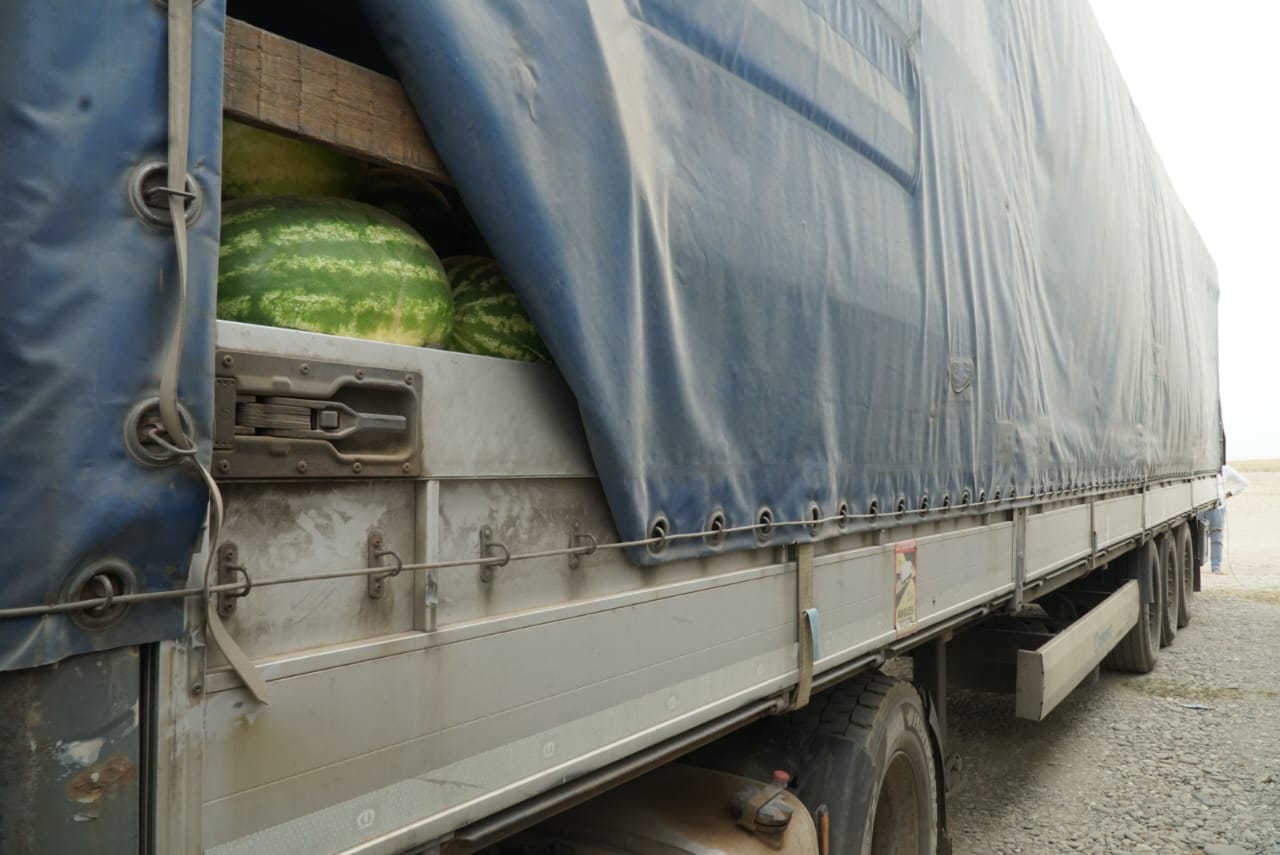 Dagestani watermelons found buyers in several cities of Belarus