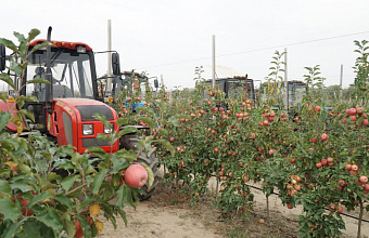 Largest garden in southern Dagestan turns into tourist location