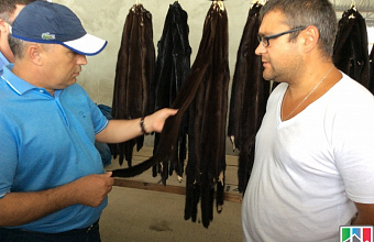 Fur farming now developing in Daghestan 
