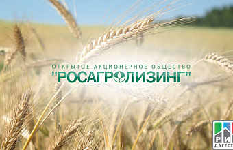 Top managers of Rosagroleasing visit Dagestan