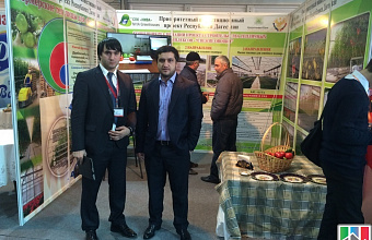 Industry and entrepreneurship seriously developed in Dagestan – Gadjimurad Gadjiyev
