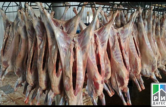 Dagestan exports lamb to Tatarstan