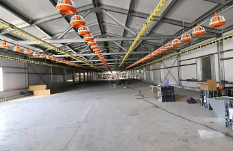 Construction of poultry farm for 15,000 chickens to be completed in Dagestan