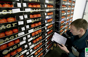 More than 8 thousand economic entities register in “Mercury” system