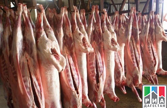Private investor to build slaughter complex in Dagestan 