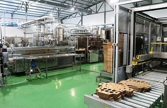 New plant in Dagestan to produce pasteurized milk in modern packaging