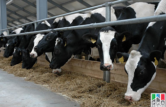Large livestock complex to be commissioned in Dagestan in 2018 