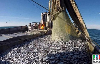 Fish processing plant to be built in Dagestan