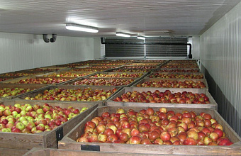 Investor doubles capacity of fruit storage facility in Dagestan 