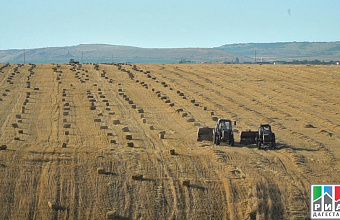 Dagestan develops interactive map of agricultural lands