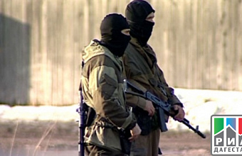 Activity of illegal armed gang revealed in Dagestan