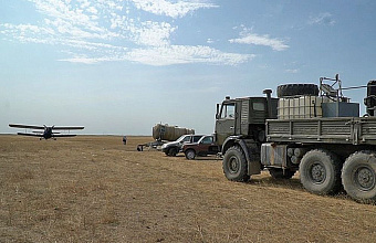More than 20,000 hectares treated with insecticides against locusts in Dagestan