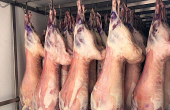 Dagestan triples its mutton exports since the beginning of 2023