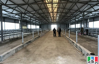 High-tech dairy complex to be created in northern Dagestan 