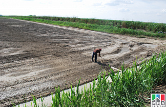 Dagestan rice to enter Russian and international markets