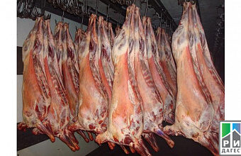 Dagestan producers intend to increase mutton exports to Iran
