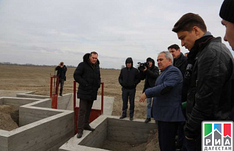 3,6 thousand hectares of new rice checks built in Dagestan in 2019