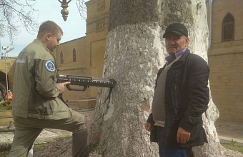 Experts assess condition of ancient plane tree in Derbent