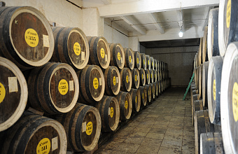 Best wines of Dagestan to be exhibited at Eastern Economic Forum 