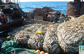 Dagestan intends to enlarge fishing fleet