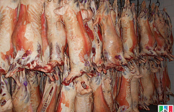 Dagestan increases supply of mutton to Iran