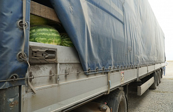 Dagestani watermelons found buyers in several cities of Belarus