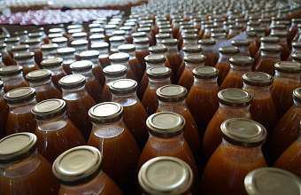 Fruit processing increases by almost 30% in Dagestan