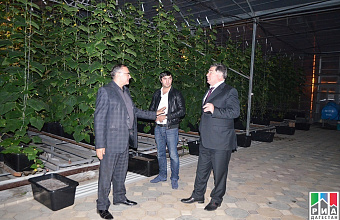 Daghestan agriculture minister visits investment project - "Niva" agricultural cooperative 