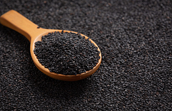 Black cumin first time sown in Dagestan 